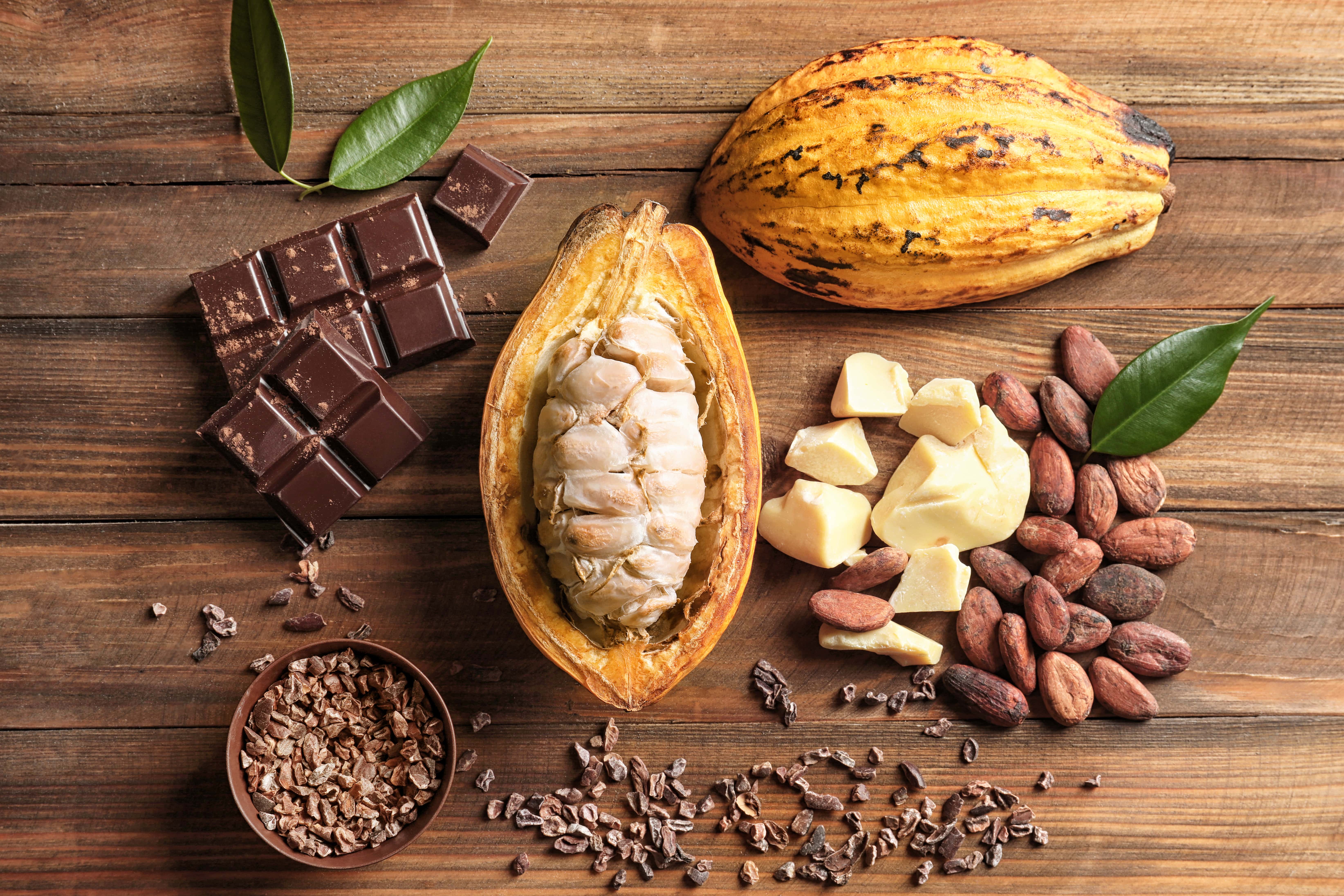 Возьми масла какао. Шоколад какао Бобы. Какао масло. Масло какао бобов. Плоды шоколадного дерева.