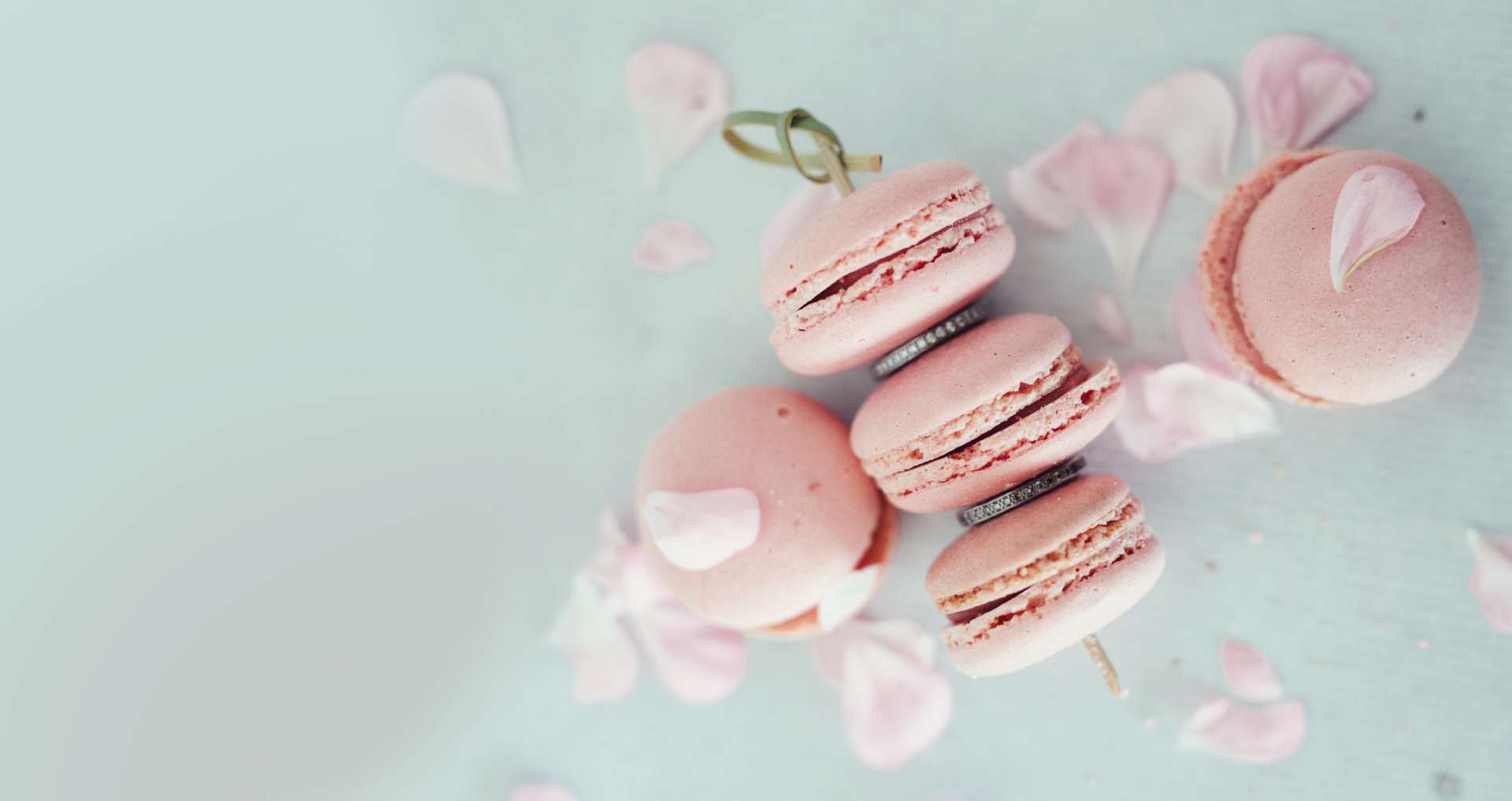 Miss Macaroon celebrates tenth year of trading