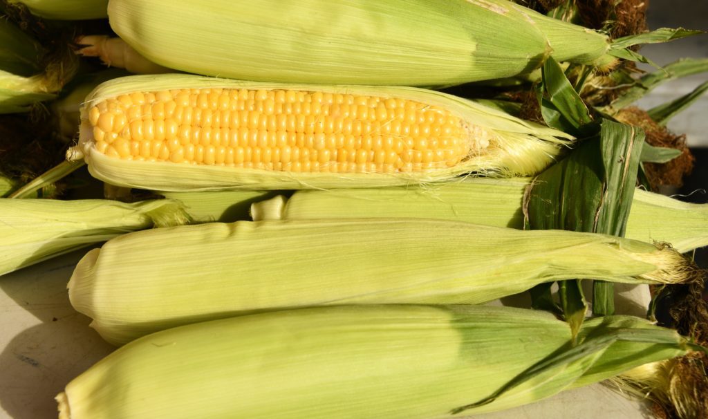 WFP and Cargill partner to improve farmer’s livelihood in China