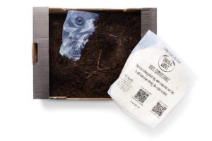 compostable