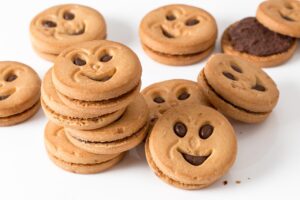 Biscuit report
